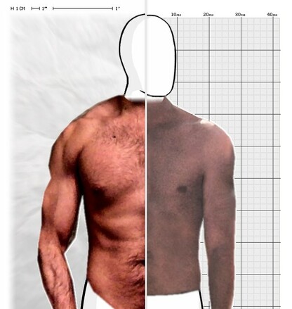 Torso Comparison
