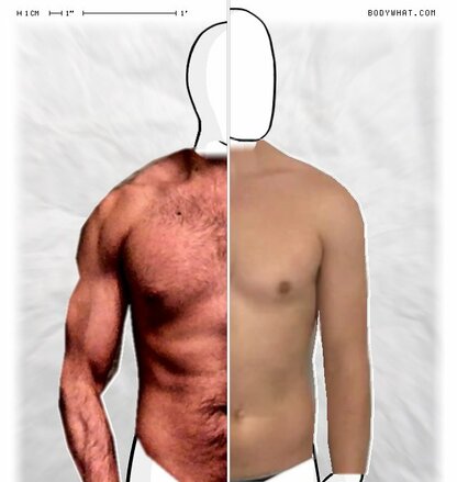 Torso Comparison