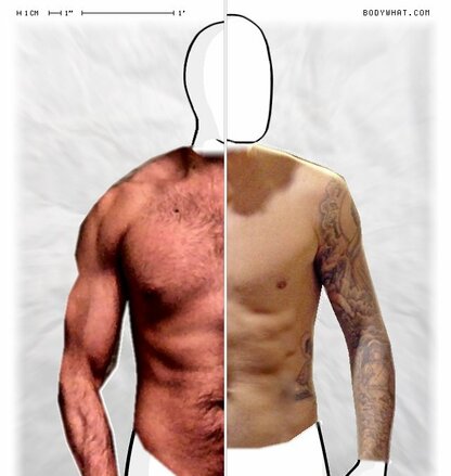 Torso Comparison