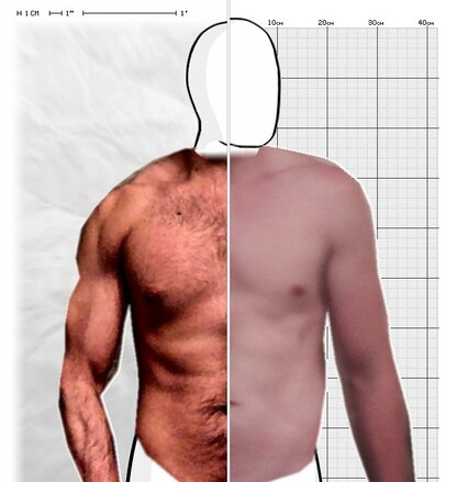 Torso Comparison