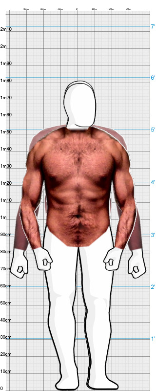 Full Size Comparison