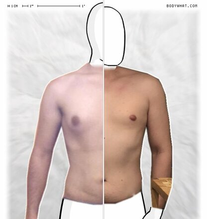 Torso Comparison