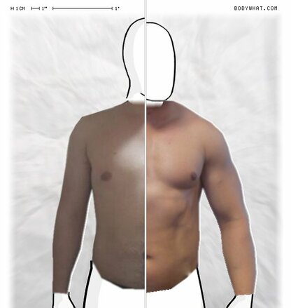 Torso Comparison