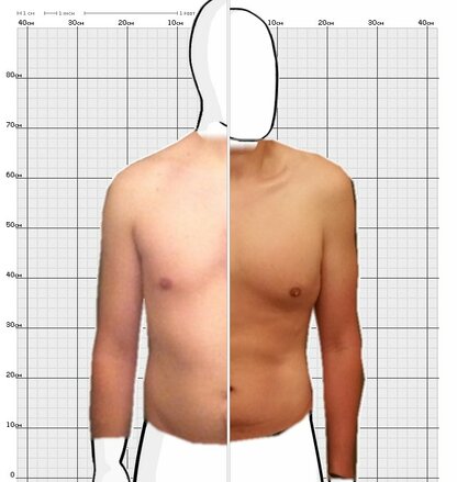 Torso Comparison