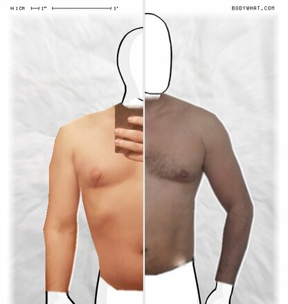 Torso Comparison