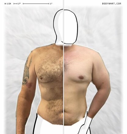 Torso Comparison