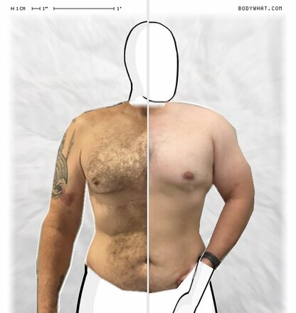 Torso Comparison