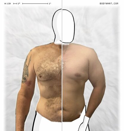 Torso Comparison