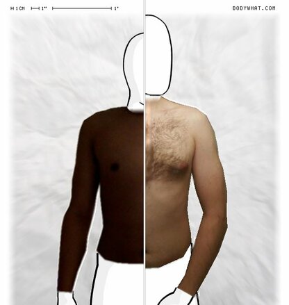 Torso Comparison