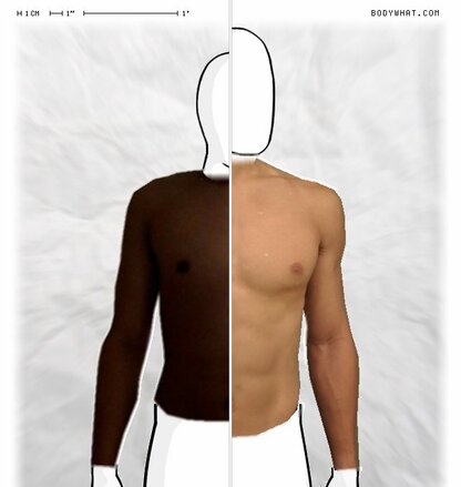 Torso Comparison