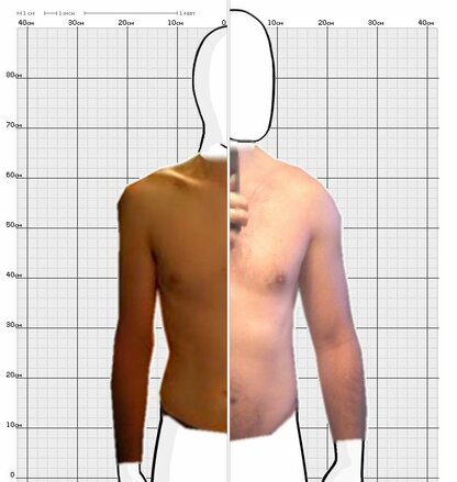 Torso Comparison