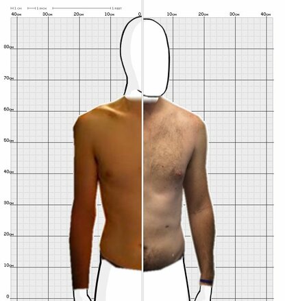 Torso Comparison