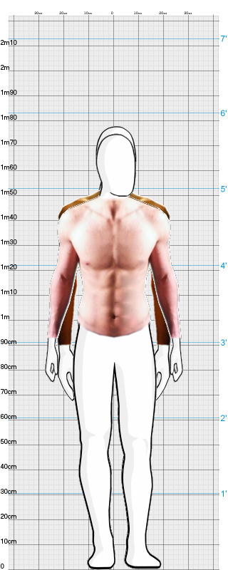 Full Size Comparison