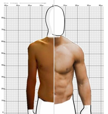 Torso Comparison