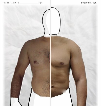 Torso Comparison