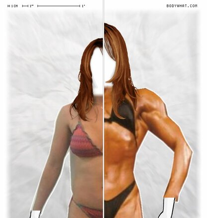 Torso Comparison