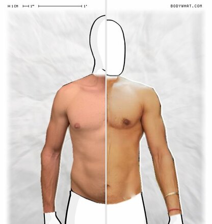 Torso Comparison