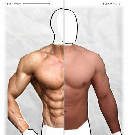Torso Comparison