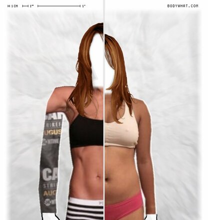 Torso Comparison