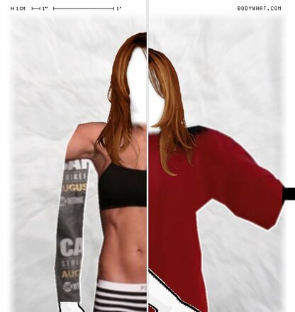 Torso Comparison