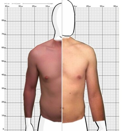 Torso Comparison