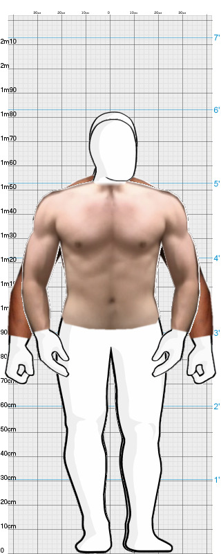 Full Size Comparison