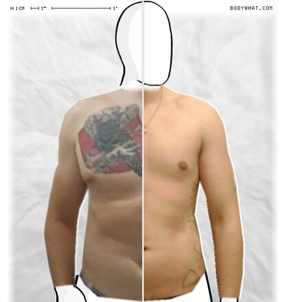 Torso Comparison