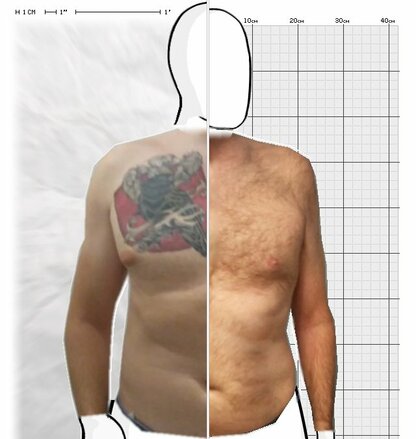 Torso Comparison