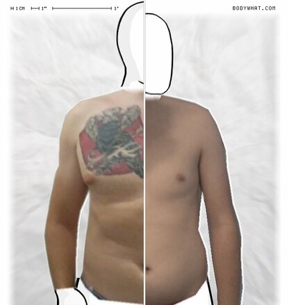 Torso Comparison