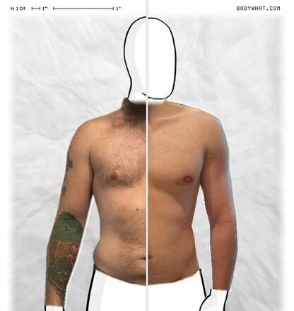 Torso Comparison