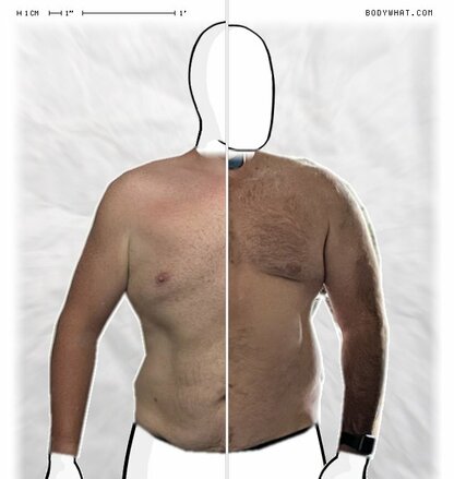 Torso Comparison