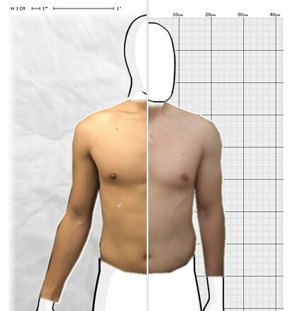 Torso Comparison