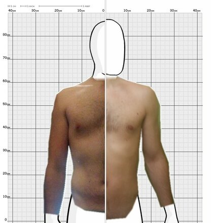 Torso Comparison