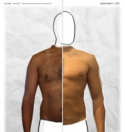 Torso Comparison