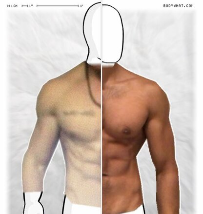 Torso Comparison