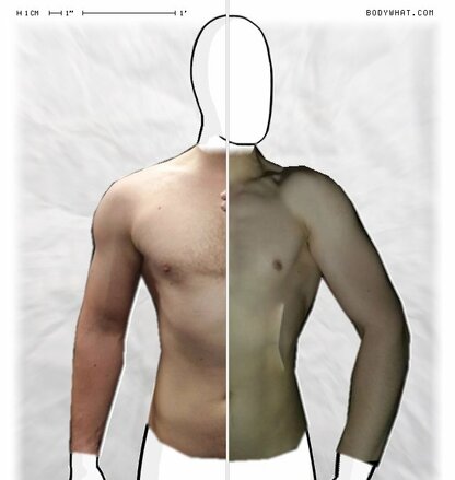 Torso Comparison