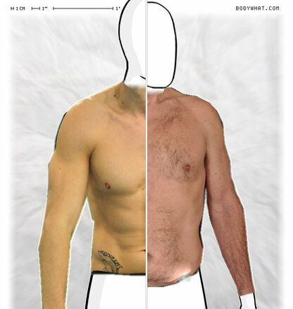 Torso Comparison