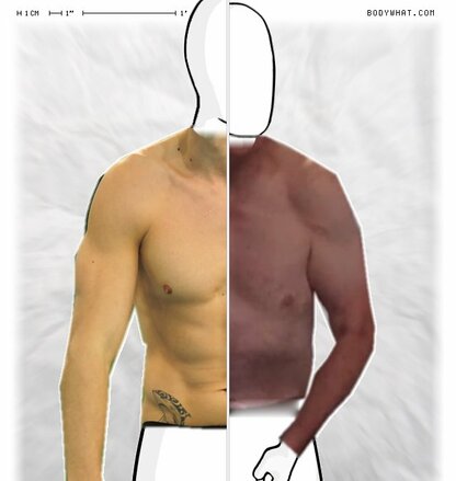 Torso Comparison