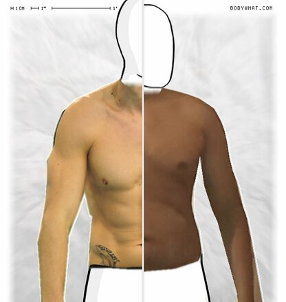 Torso Comparison