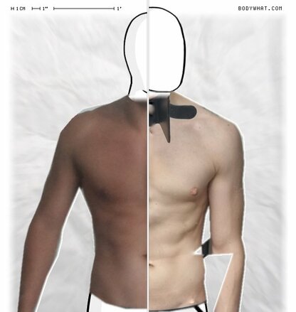 Torso Comparison