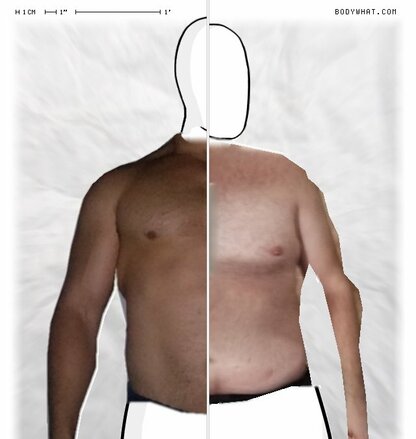 Torso Comparison