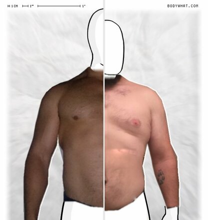 Torso Comparison