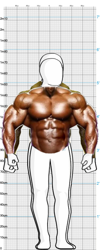 Full Size Comparison