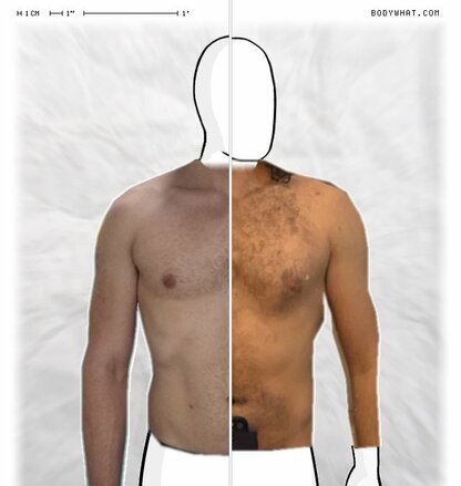 Torso Comparison