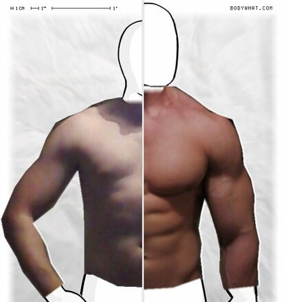 Torso Comparison