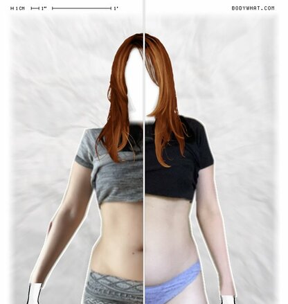 Torso Comparison