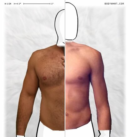 Torso Comparison