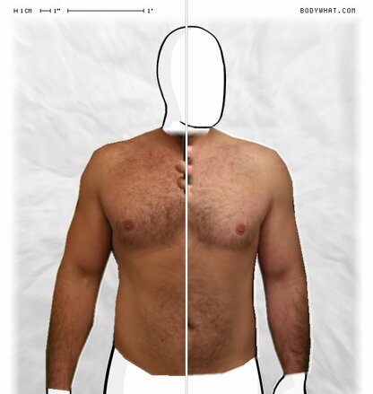 Torso Comparison