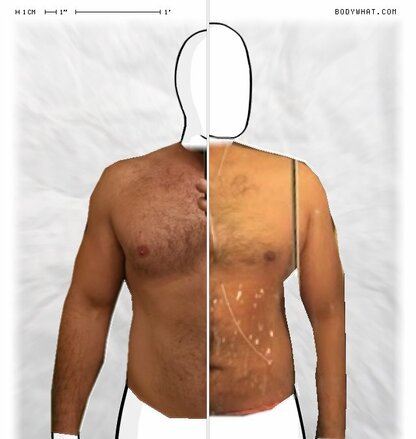 Torso Comparison