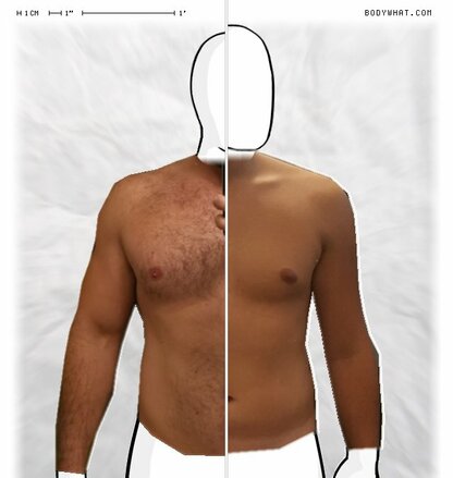 Torso Comparison